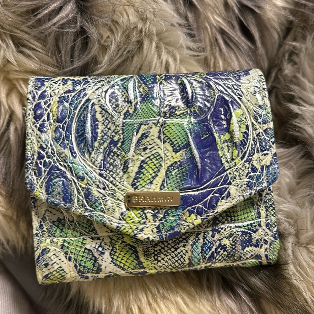Brahmin wallet